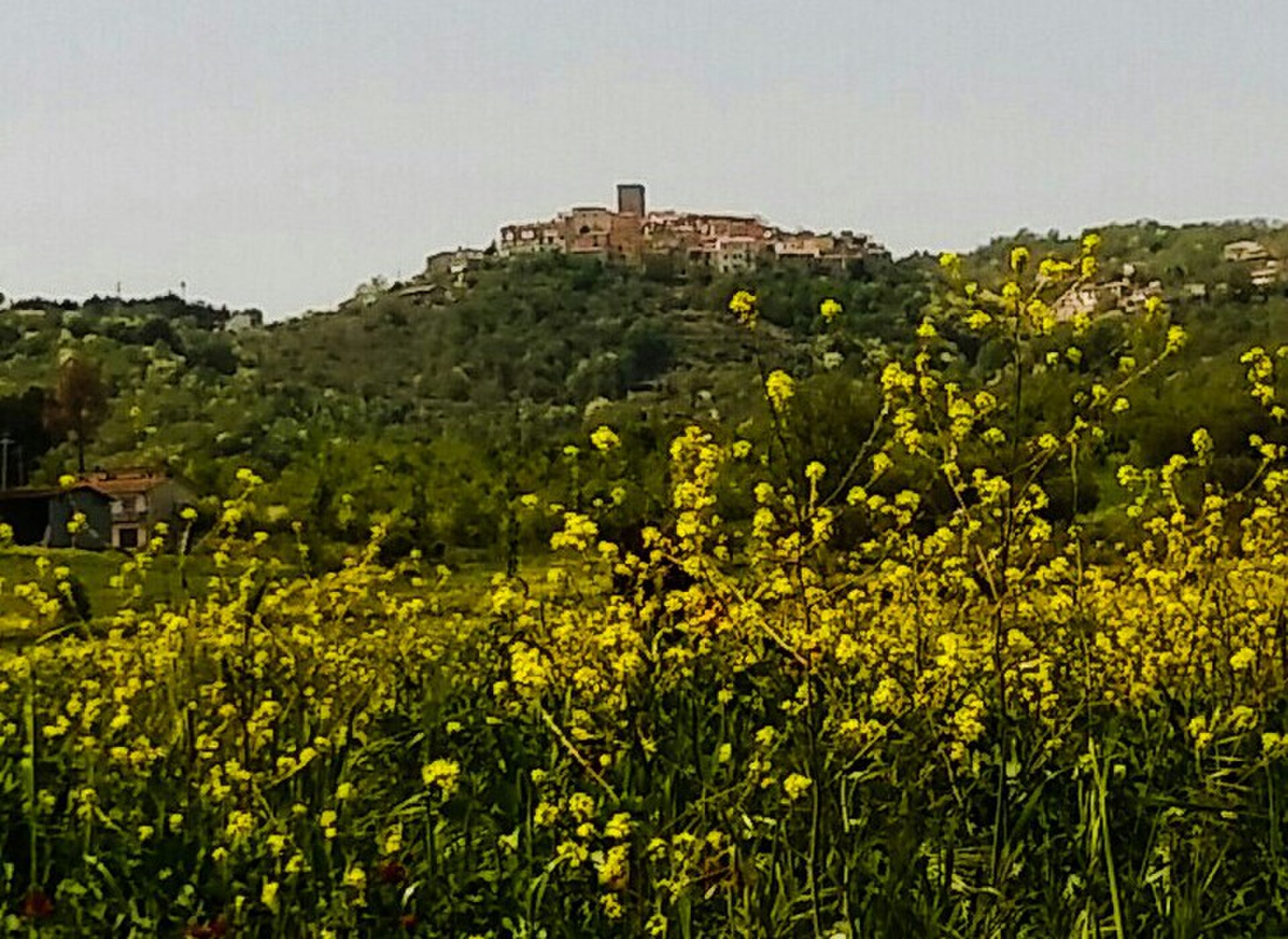 Casalbore